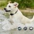 Dog Training Collar Wrap Around Shock Remote Control W 3 Training Modes Sound  Vibration  And Adjustable Shock Levels  Dog Anti barking Collar black A drag