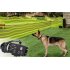 Dog Training Collar and Electronic Fence System is Waterproof and has a 2500 Square Meter Range