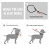 Dog Training Leash Pull resistant Traction Rope With Adjustable Ring For Large Medium Small Dogs red