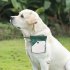 Dog Treat Pouch For Pet Training Portable Auto Closure Hands Free Dog Treat Bags Training Pouch Kit For Outdoor Dog Walking beige green