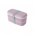 Double Layer Frosted Lunch Box With Built in Tableware Food Storage  Container Pink