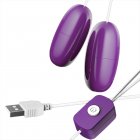 Double Vibrator G Spot Vibrator USB Charging Clitoral Massager Nipple Vibrator Pleasure Stimulator Sex Toy