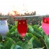 Double sided Bird  Repellent Owl Shape Farm Vegetable Field Orchard Hanging Reflective Scarecrow Woodpecker owl