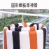 Drying Racks  Mosquito Repellent Storage  Drying Sheets  Clothes Drying Pants  Spiral drying white