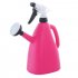 Dual Purpose Large Size Hand Press Spraying Kettle for Home Gardening green
