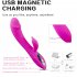 Dual point Vibrator Female Licking Machine Clitoris Stimulator G Spot Powerful Dildo Wand Female Adult Sex Toys pink