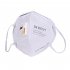 Dust Respirator N95 Breathable 9501VT Pm2 5 Mask with Breathing Valve