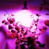 E27 10W LED Plant Grow Light 106 LED Beads Full Spectrum Creative Lamp for Indoor Hydroponic Plant Vegetable Cultivation Horticulture Industrial Seedling