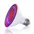 E27 20W 200 LED 2835SDM Plant Grow Light with Clip Red   Blue Light for Indoor Hydroponic Plant Vegetable Cultivation Horticulture Industrial Seedling  European