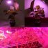 E27 220V LED Plant Grow Light Hydroponic Growth Light for Indoor Vegetable Seedling Flowerpot