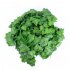 EU 16pcs Plastic Artificial Ivy Leaf Plant Vines Hanging for Home Garden Wedding