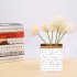 EU 6pcs Artificial Flower Bridal Wedding Bouquet Home Garden Party Decoration Milky White