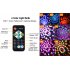 EU Litake 4pcs Portable Led Disco Crystal Ball Party Lights with Remote Control EU Plug