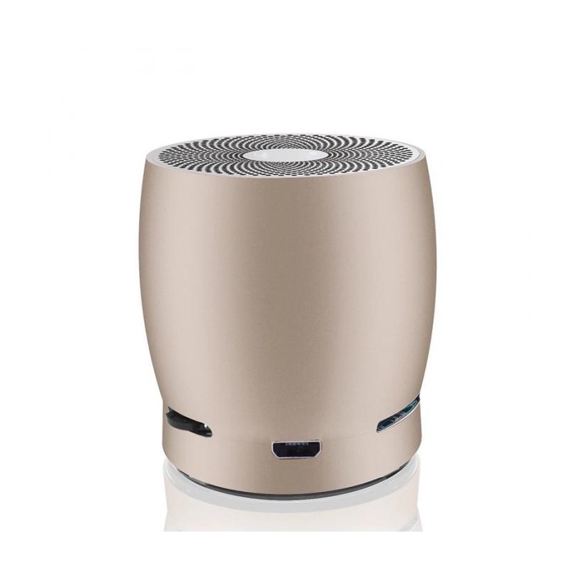 EWA A1 Wireless Bluetooth Speaker Gold