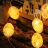 Easter Lights String  Easter Egg Lights With 3 Modes  Transparent Battery Box  Led Light Waterproof Egg String Lights Decorations For Garden  Door  Window 3 met