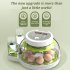 Egg Incubators with Automatic Temperature and Humidity Control  360   Clear Egg Candler Egg Flipper 12 Dual Batteries