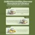 Egg Incubators with Automatic Temperature and Humidity Control  360   Clear Egg Candler Egg Flipper 12 Dual Batteries