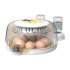 Egg Incubators with Automatic Temperature and Humidity Control  360   Clear Egg Candler Egg Flipper 12 Dual Batteries