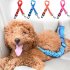 Elastic Reflective Safety Rope Traction Belt for Pet Dogs Supplies Car Seat red