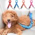 Elastic Reflective Safety Rope Traction Belt for Pet Dogs Supplies Car Seat Pink