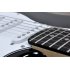 Electric Guitar that has 3 Single Coil Pickups and 22 Frets and a whammy bar will give you the head start you need to stardom