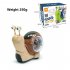 Electric Snail Toy Universal Shaking Head Snail With Music Light Projection Interaction Toys For Boys Girls Gifts red hermit crab