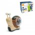 Electric Snail Toy Universal Shaking Head Snail With Music Light Projection Interaction Toys For Boys Girls Gifts red hermit crab