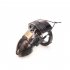 Electro Shock Chastity Cage Penis Sleeve Male Sex Toys Electric Cock Cage Cock Ring Chastity Device For Men CB6000 black