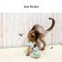 Electronic Cat Toy  Automatic Cat Toys Interactive With LED Lights  Type C Charging Cable  Whisper Mode  Swing Type Rechargeable Cat Toys For Living Room blue g