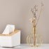 Electroplating Iron  Vase Hydroponic Flower Holder Living Room Desktop Decoration Golden