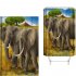 Elephant Theme Printing Shower  Curtain For Bathroom Bathtub Waterproof Curtain Two elephants walking 150 180cm