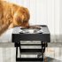 Elevated Dog Bowls With Raised Dog Bowl Stand Stainless Steel Bowls Stand For Large Dogs Cervical Spine Protection original design for big dogs Classic black