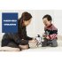 Enjoy the five different characteristics of this auto balancing RC stunt robot  Dancing  serving drinks  boxing  and more   this little robot pet can do it all 