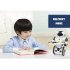 Enjoy the five different characteristics of this auto balancing RC stunt robot  Dancing  serving drinks  boxing  and more   this little robot pet can do it all 