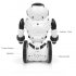 Enjoy the five different characteristics of this auto balancing RC stunt robot  Dancing  serving drinks  boxing  and more   this little robot pet can do it all 