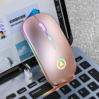 Ergonomic Wireless Mouse Rechargeable Silent LED Backlit Portable Cute Mini Mouse Works for PC Computer Rose gold