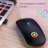 Ergonomic Wireless Mouse Rechargeable Silent LED Backlit Portable Cute Mini Mouse Works for PC Computer Black