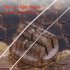 Erhu Code Replacement Erhu Bridge Handmade Silkwood Vibration Code Erhu Parts Wooden Professional Performance