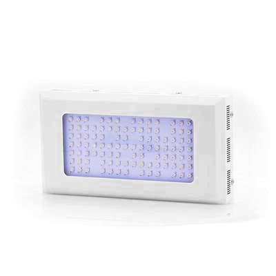 LED Hydroponic Grow Light w/ 300W + 20000 LUX