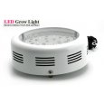 LED Grow Light