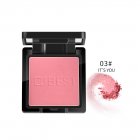 Face Blusher Powder Blush Professional Cheek Rouge Natural Peach Cosmetic C03#