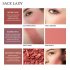 Face Blusher Powder Matte Blush Professional Cheek Rouge Natural Peach Cosmetic 04