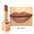 Fashion Matte Lipstick Waterproof Long Lasting No fading Moisturizing Lip Gloss