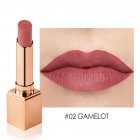 Fashion Matte Lipstick Waterproof Long Lasting No-fading Moisturizing Lip Gloss