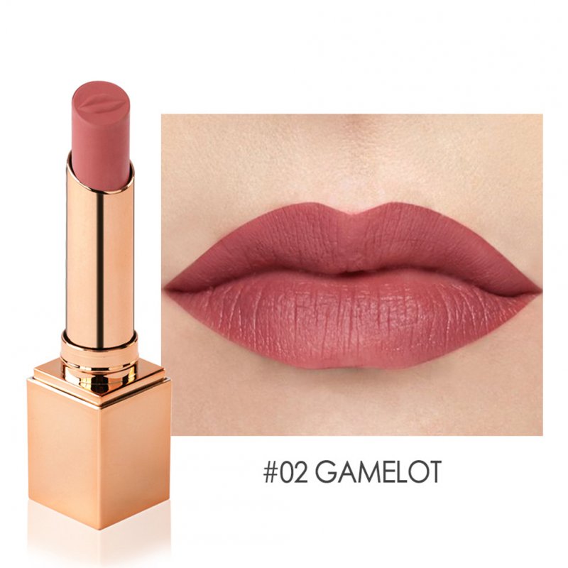 Fashion Matte Lipstick Waterproof Long Lasting No-fading Moisturizing Lip Gloss