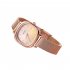 Fashion Quartz Wrist Watch for Women Simple Electroplating Gradient Square Dial Adjustable Watch Gradient Blue
