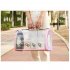 Fashion Space Capsule Pet Handbag Cat Box Transparent Bag Cage for Outdoor Pink small