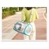 Fashion Space Capsule Pet Handbag Cat Box Transparent Bag Cage for Outdoor blue small