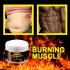 Fat Burning Cream Hot Gel Sweating Cream Slimming Cream Body Waist Trainer