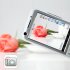 Feel as if you were on Cloud 9 with this beautiful wifi cellphone  watch TV  check your emails  browse the internet  listen to fm radio  use two SIM cards and m